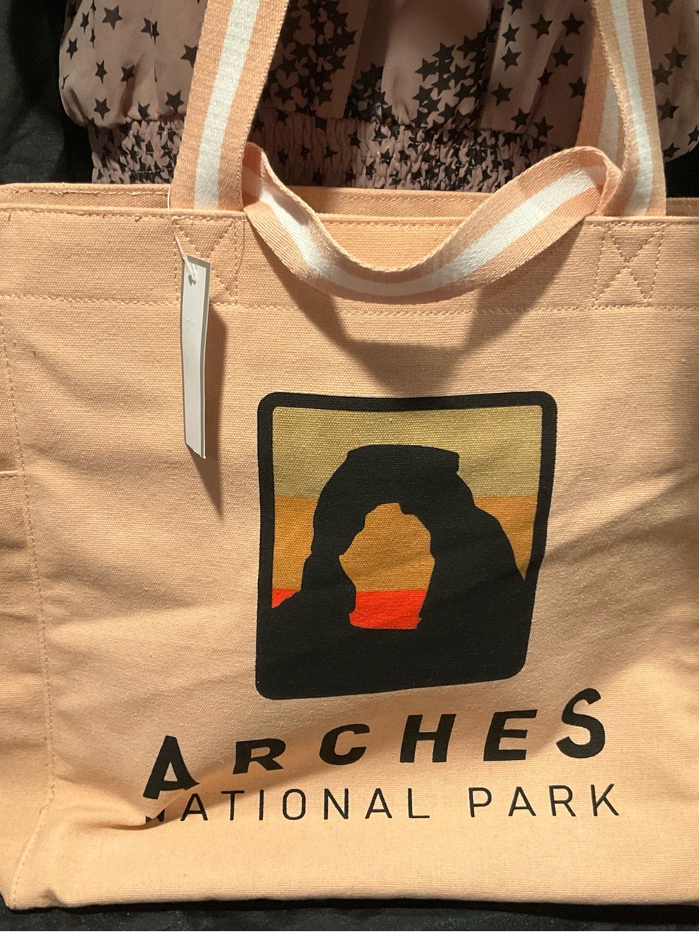National Park Canvas Tote with Striped Handles